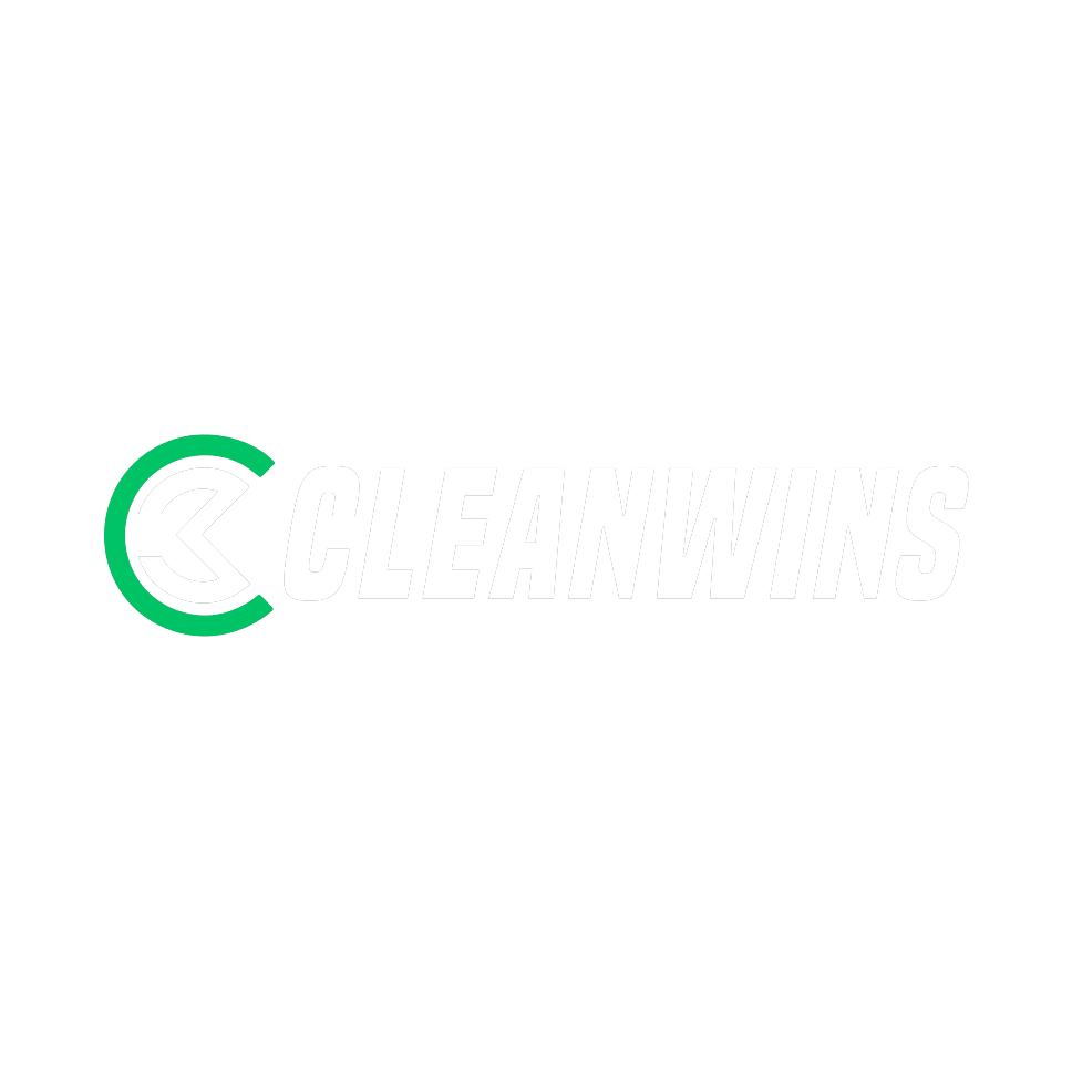 CleanWins logo